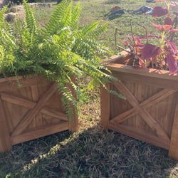 Planter Box 