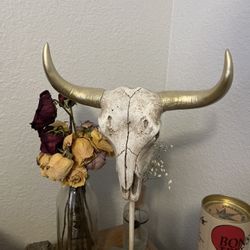 Decorative Bull Skull
