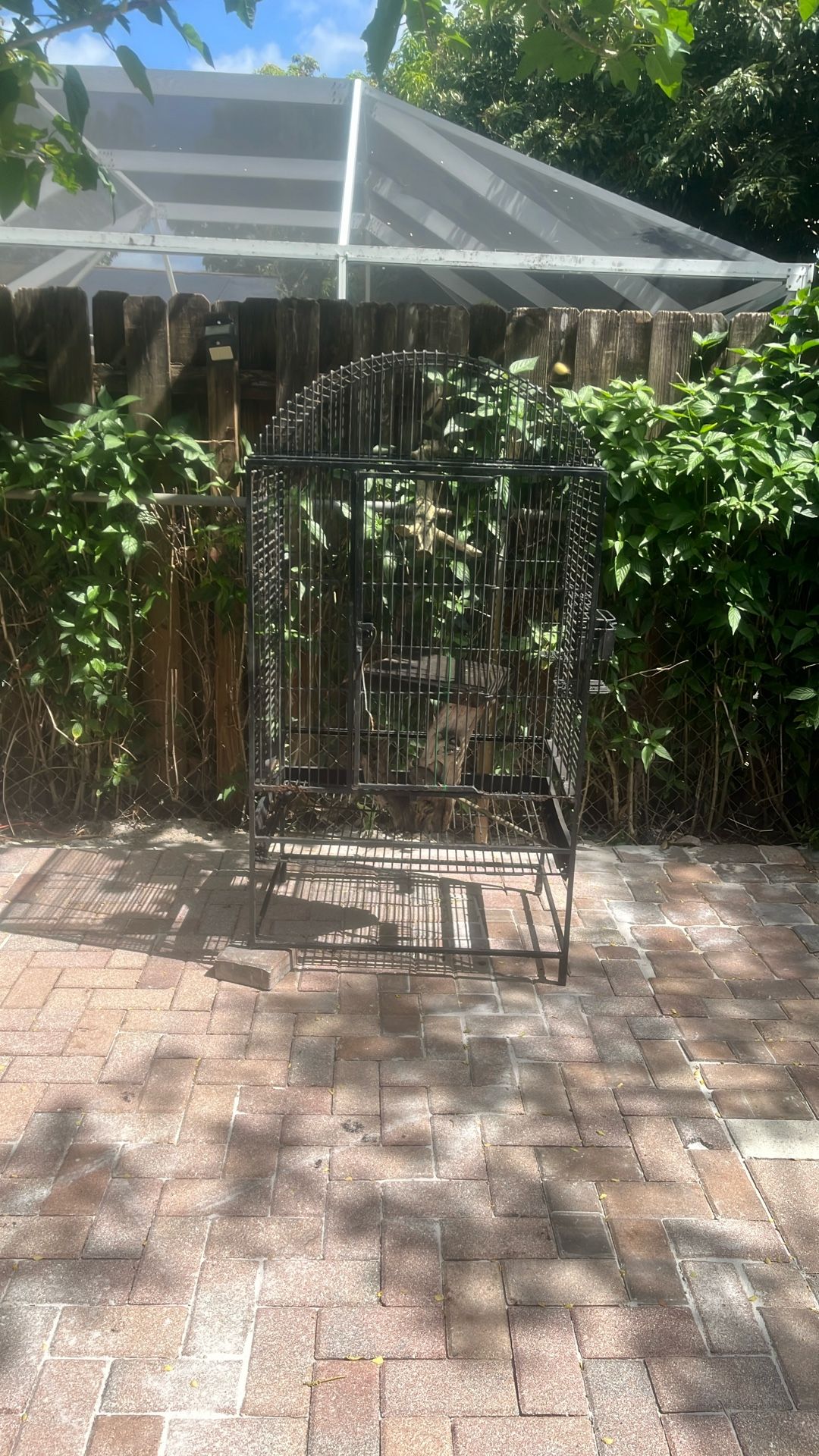 Bird Cage