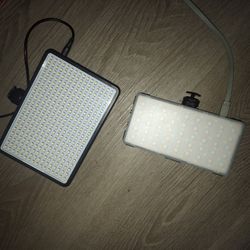 Camera Lights