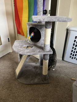 Cat Condo