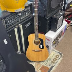 Washburn Acoustic Guitar D10n