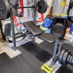 Adjustable Steel Weights Bench and Barbell Rack. With Weights & Curl Bar 