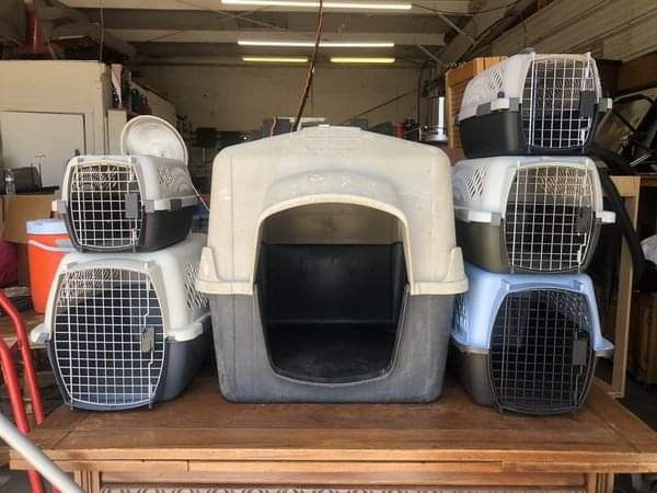 Cats Dogs Carriers Crates Cages Kennels