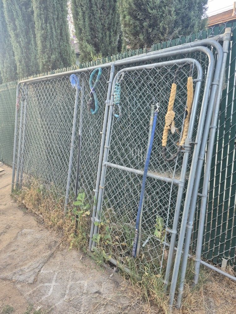 Dog Kennel Run