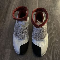 Air Jordan 20 OG