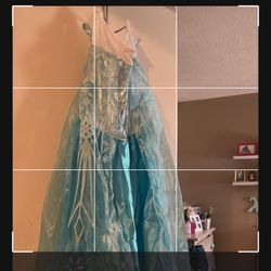 Frozen Princess Dress And Accessories