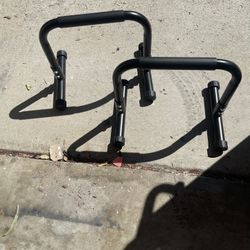 Calisthenics Parallel Bars