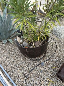  Cast Iron Kettle w/handle