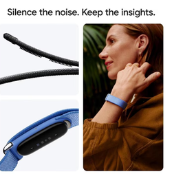 Google FitBit Air