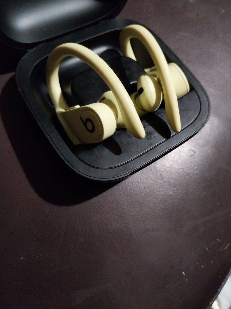 Dre Beats Powerbeats Pro 2