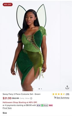 Plus size fairy costume (2x)