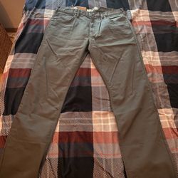 Green Patagonia Pants