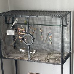 Bird Cage 
