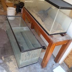 Fish Tank For Reptile