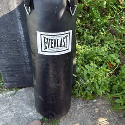 Everlast Punching Bag