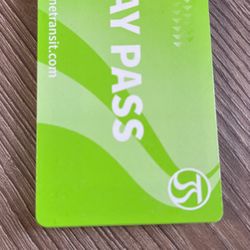 20 Day Passes