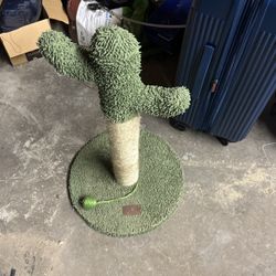Cat Cactus Scratching Post 