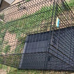 Dog Cage 