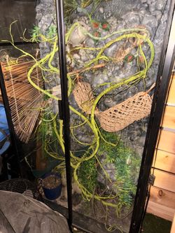Terrarium