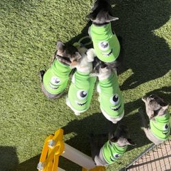 Puppy Clothes Monster Ink 