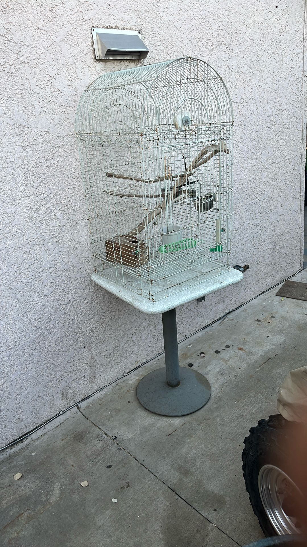 Bird Cage