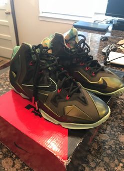 Lebron 11 King Pride sz 10