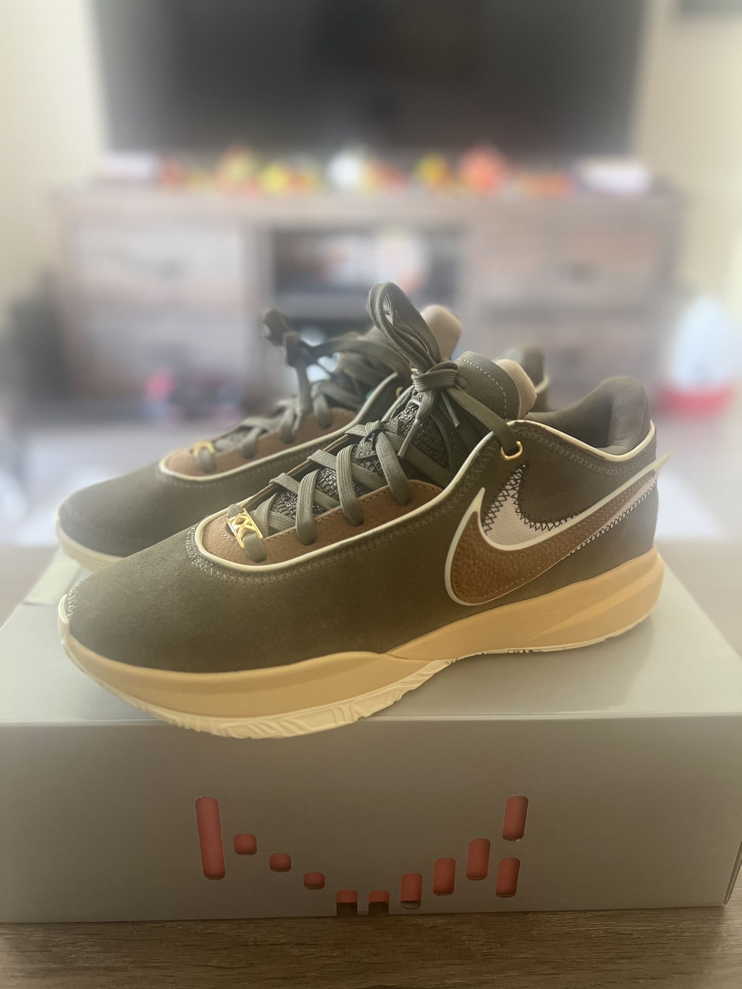 Nike Lebron 20