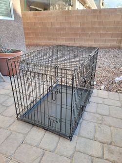 Large Black Wire Dog Crate with Tray