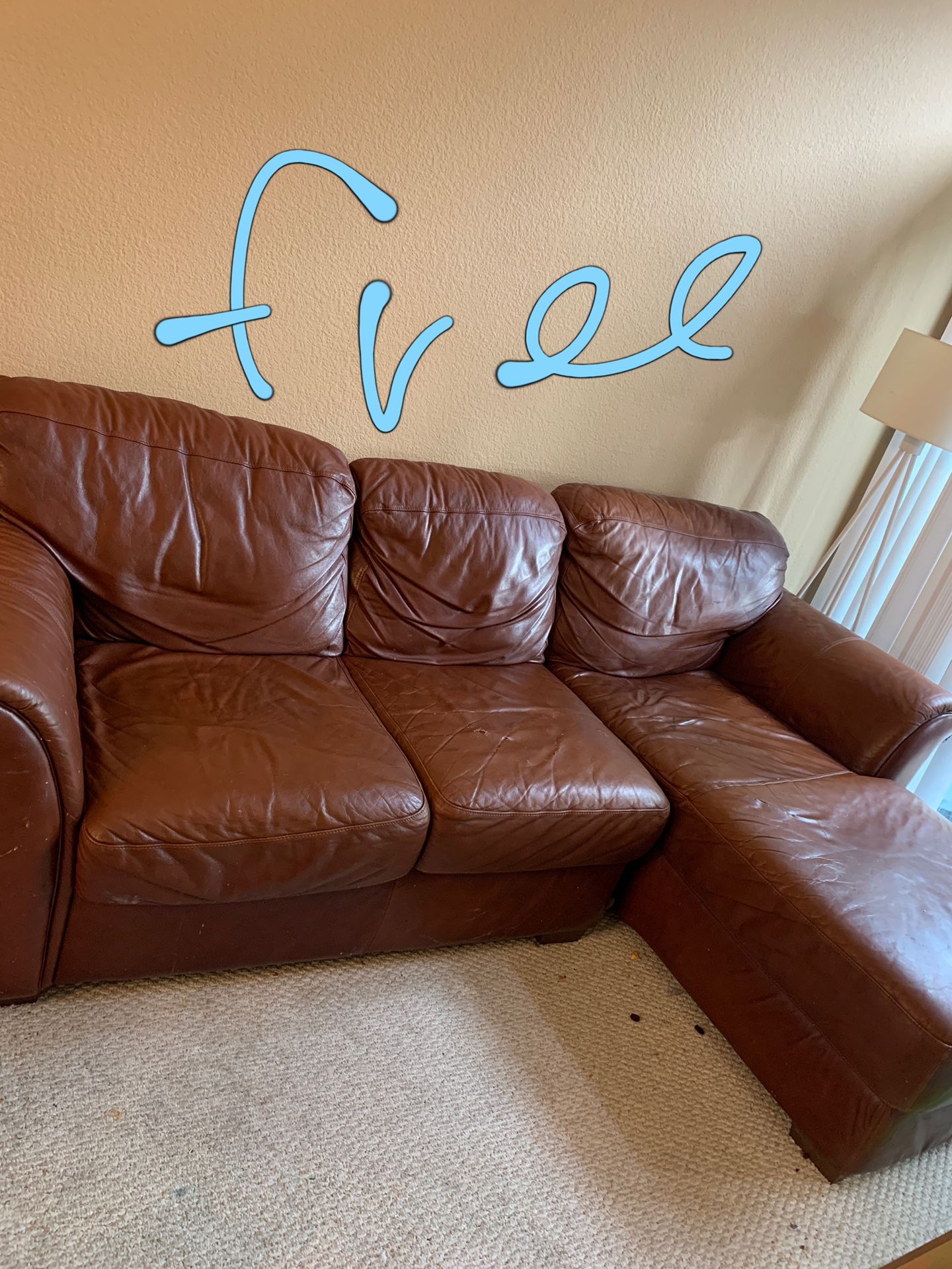 free leather sofa