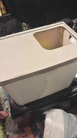 Cat/Kitten Supplies