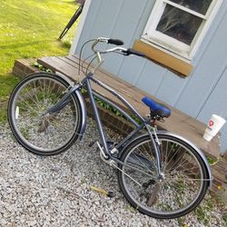 Mens Schwinn costin Cruiser Bicycle Wheels 29