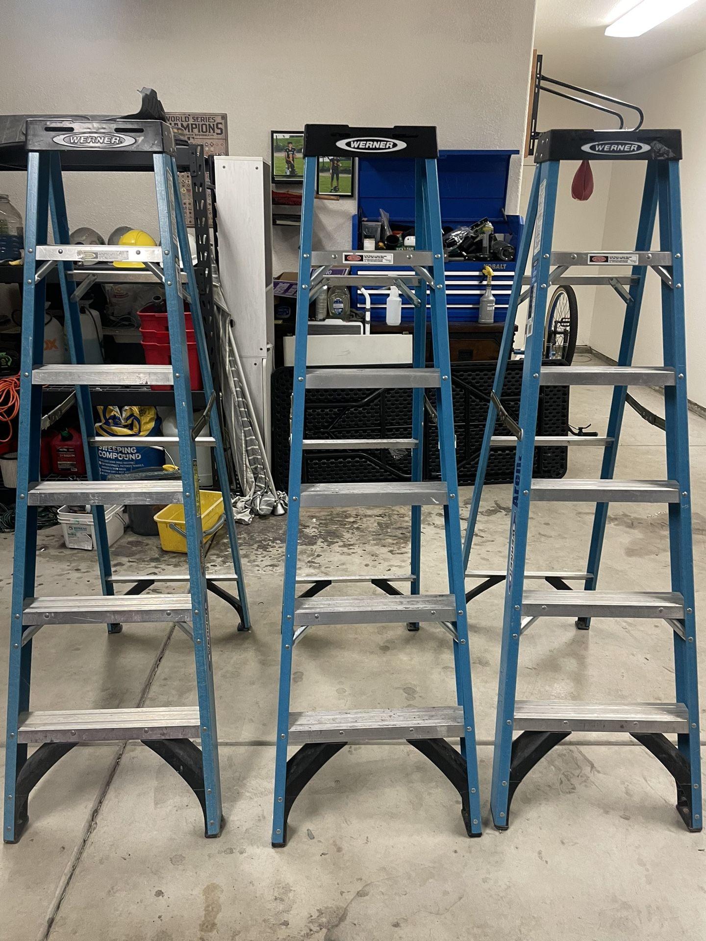 Werner Ladder Advanced Performance