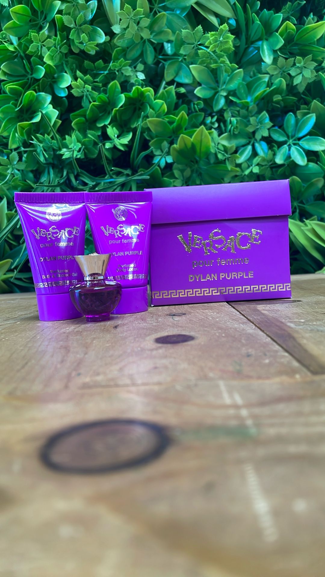 Versace Dylan Purple Set