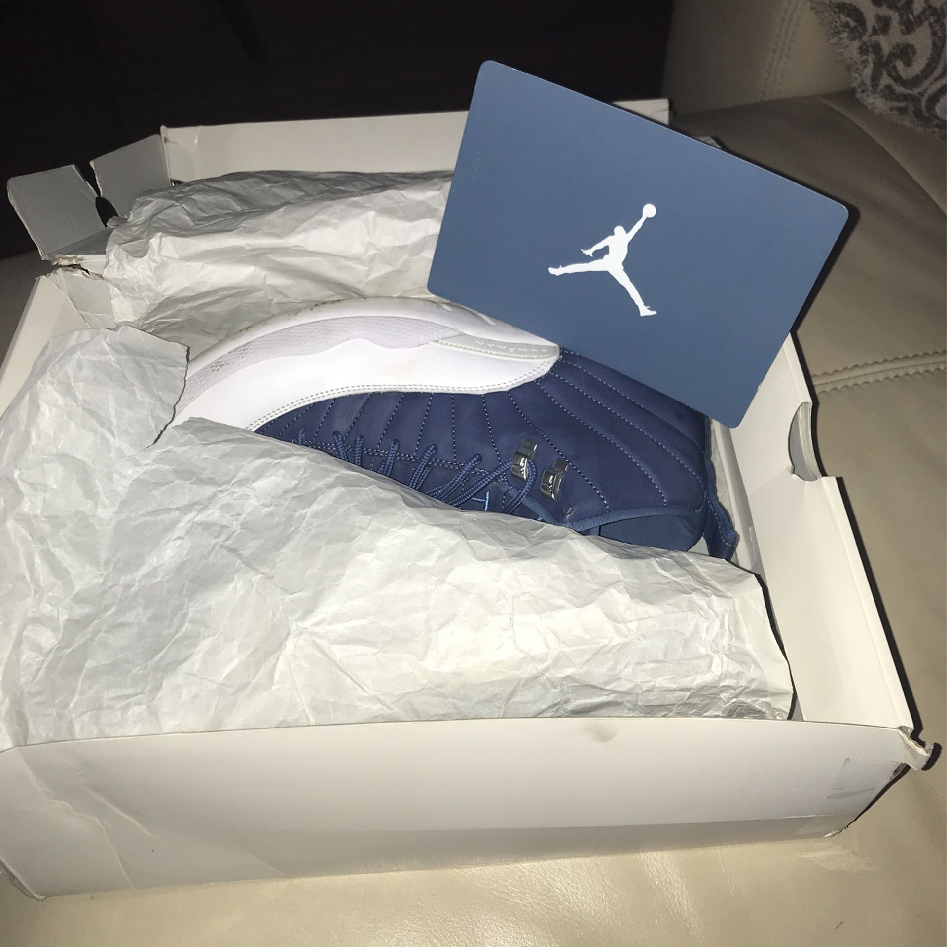 Indigo Jordan 12s