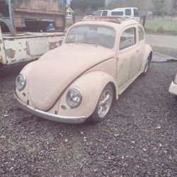 VW Bug 