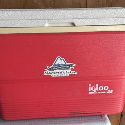 Used decent Igloo Ice Chest 