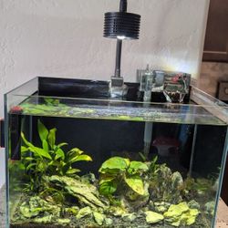 Aquarium Setup
