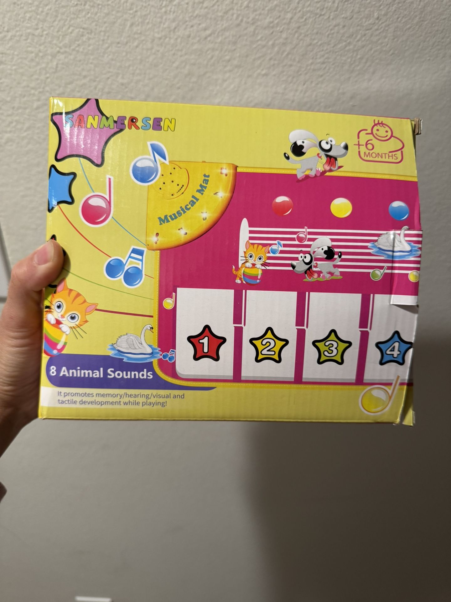 Baby Toddler Musical Mat Game