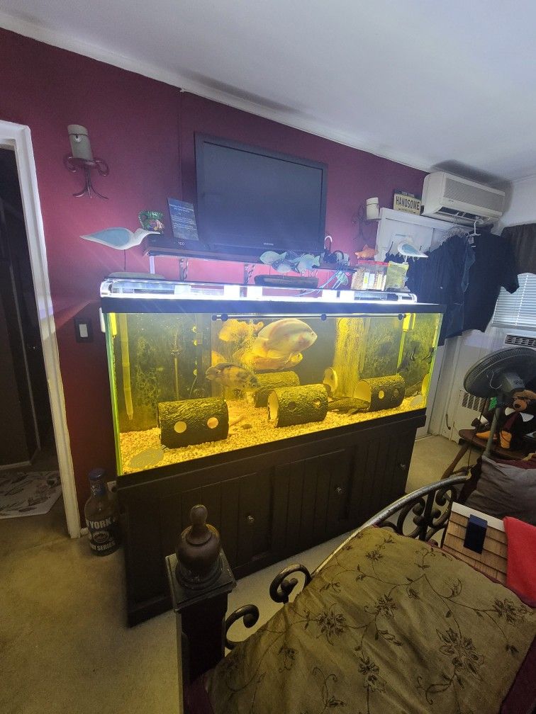 150 Gallon Aquarium, Complete Set Up