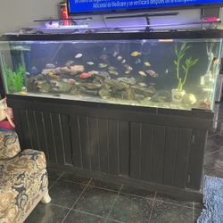 150gal Tank And Stand