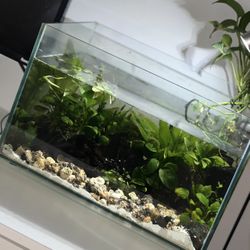 Aquarium 8 Gallons