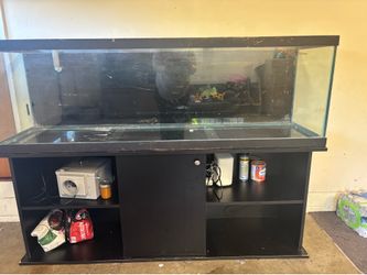 125 gallon tank