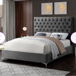 Grey Queen Upholstered Bed 