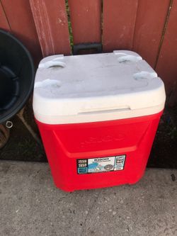 Igloo cooler