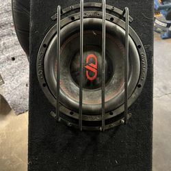 DD digital Designs 10 Inch Subwoofer 