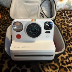 Polaroid 