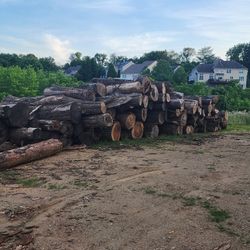 Firewood