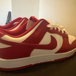 Nike usc low dunks