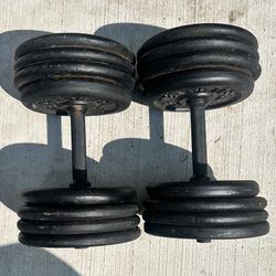 80lb Dumbbells 